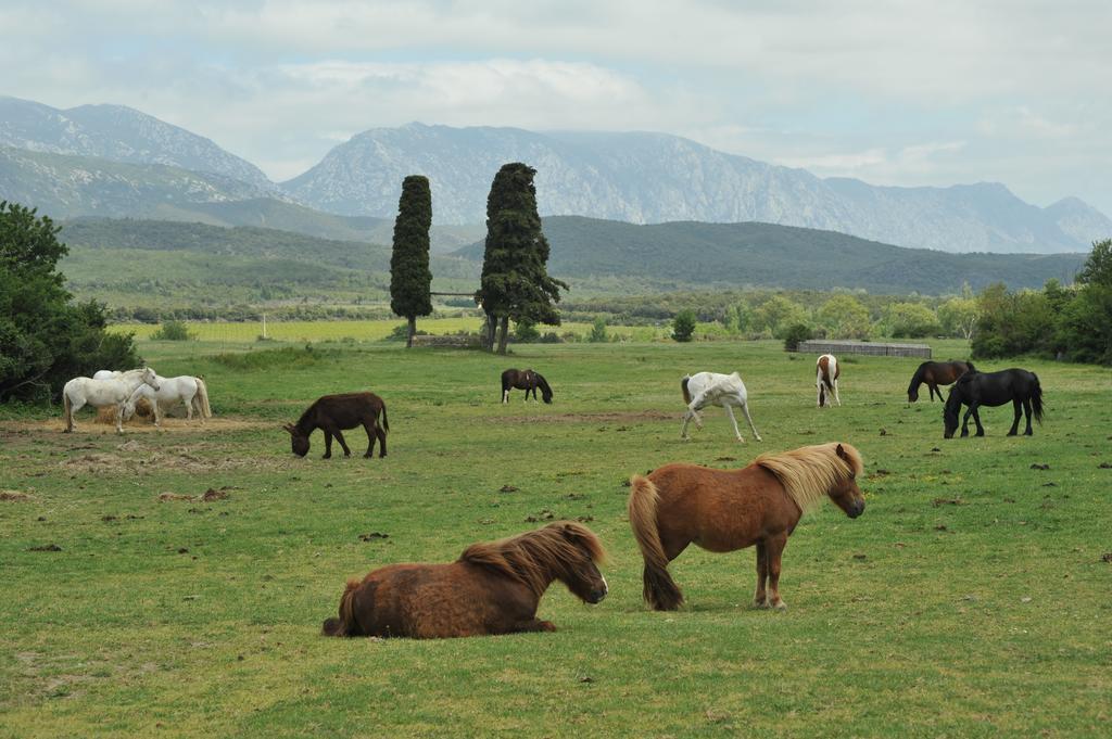 فندق Caudies-de-Fenouilledesفي  Domaine De Castel Fizel المظهر الخارجي الصورة
